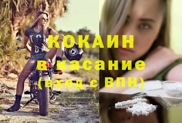 индика Зеленокумск