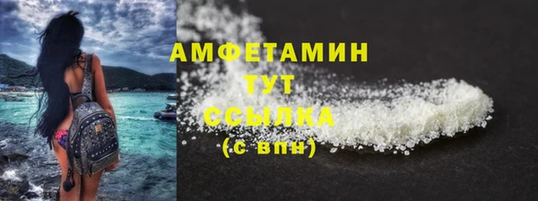 индика Зеленокумск
