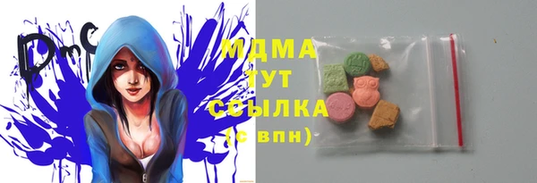 индика Зеленокумск