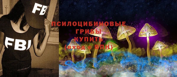 индика Зеленокумск