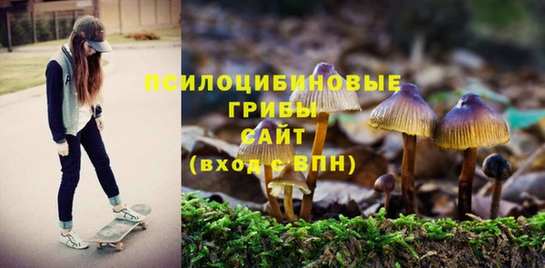 индика Зеленокумск