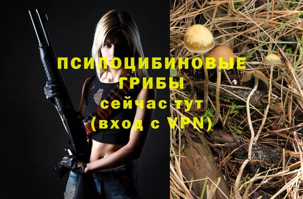 a pvp Инсар