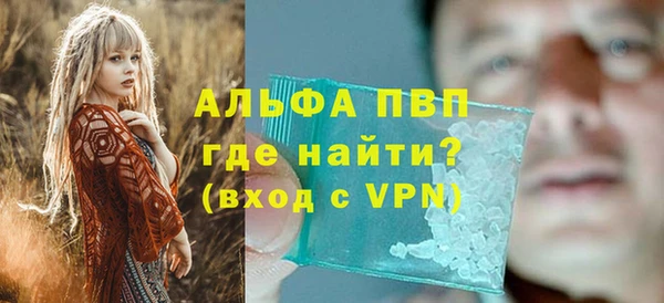 индика Зеленокумск