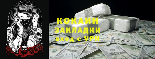 индика Зеленокумск